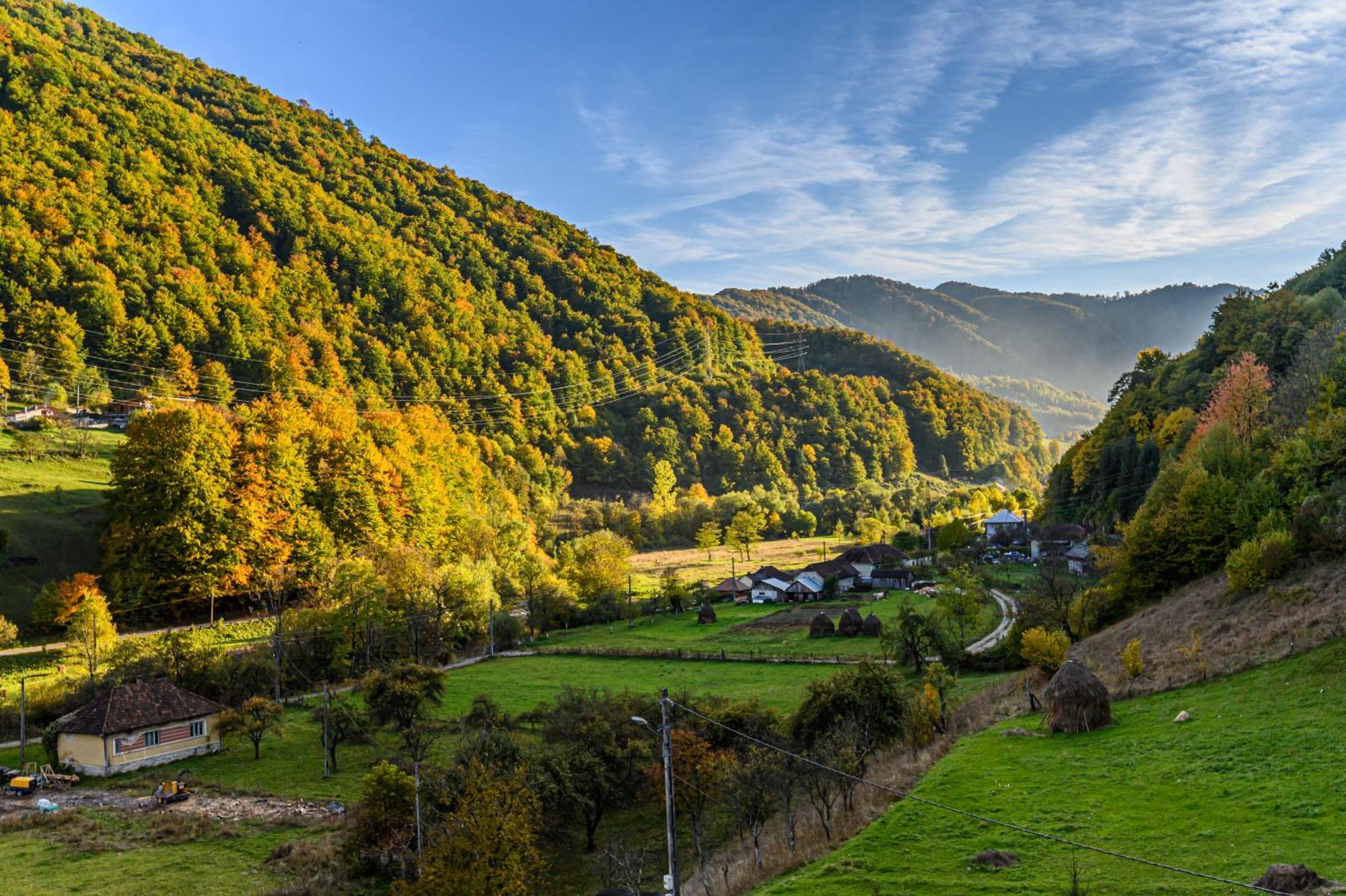 Pensiunea Apuseni Wild Remeţi Buitenkant foto