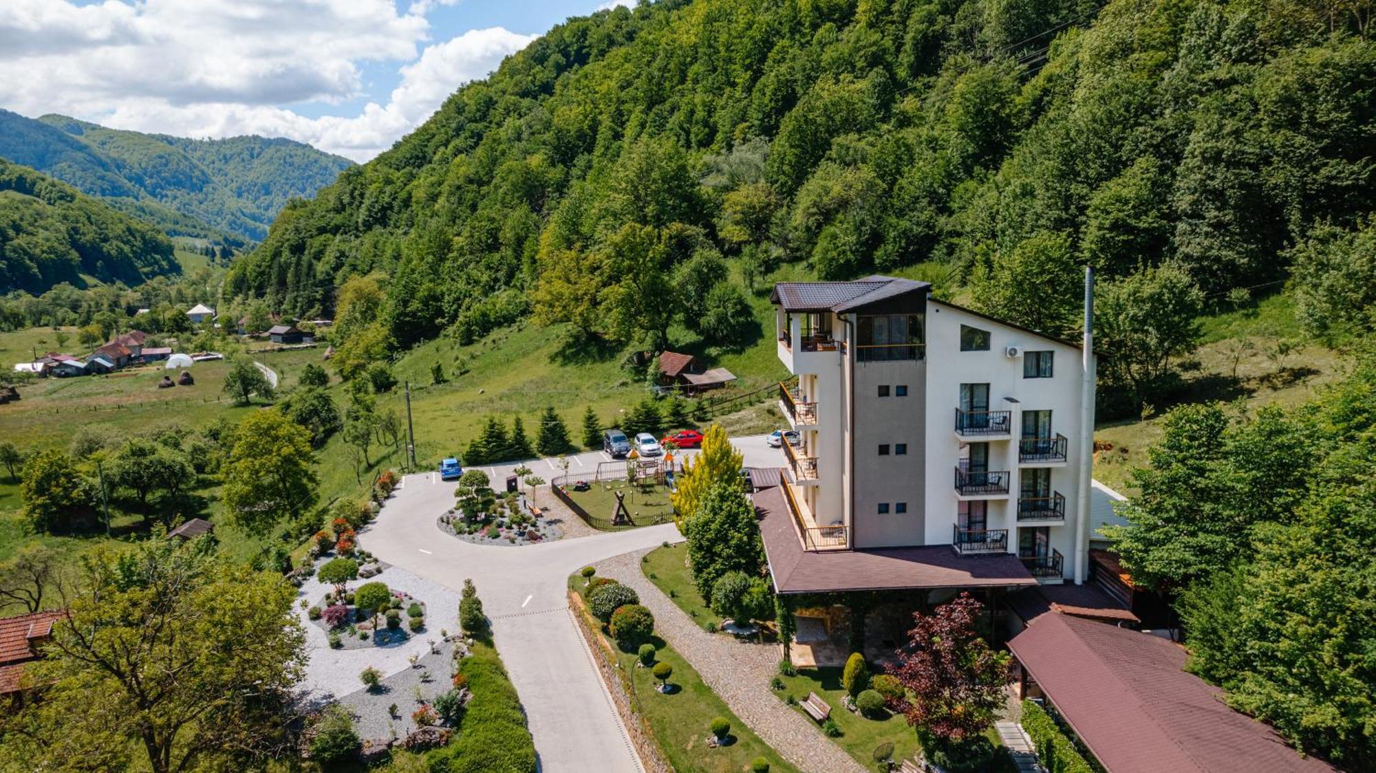 Pensiunea Apuseni Wild Remeţi Buitenkant foto